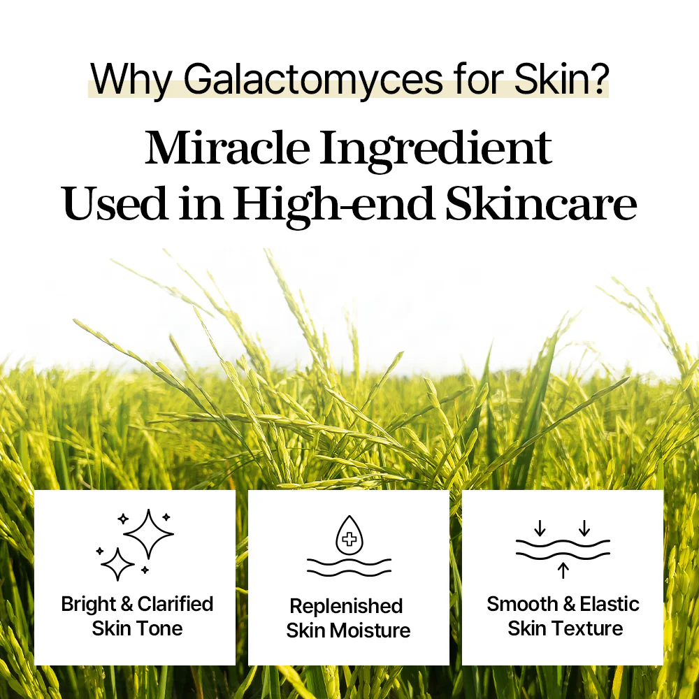 mixsoon Galactomyces Toner Pad 5 mixsoon Galactomyces Toner Pad