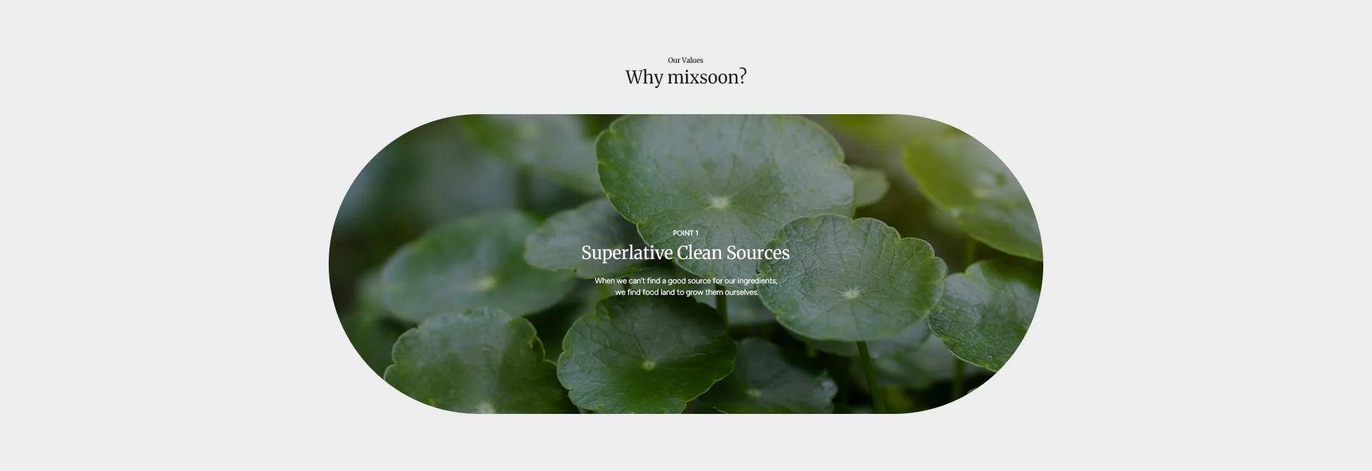 shopify main banner 01 PC