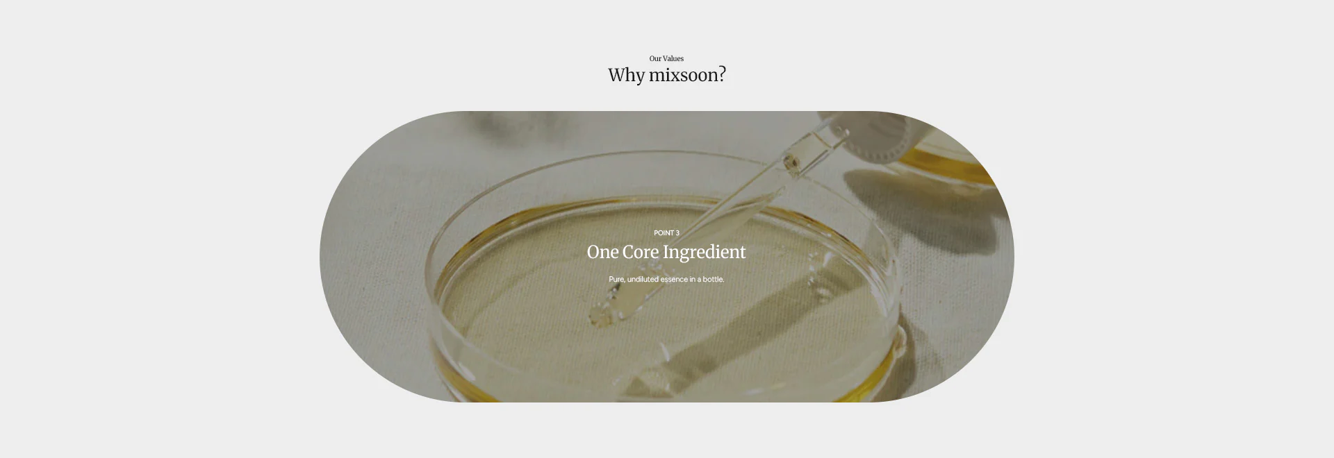 shopify main banner 03 PC